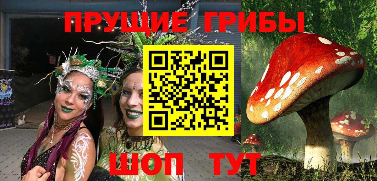 Галлюциногенные грибы MAGIC MUSHROOMS Бузулук
